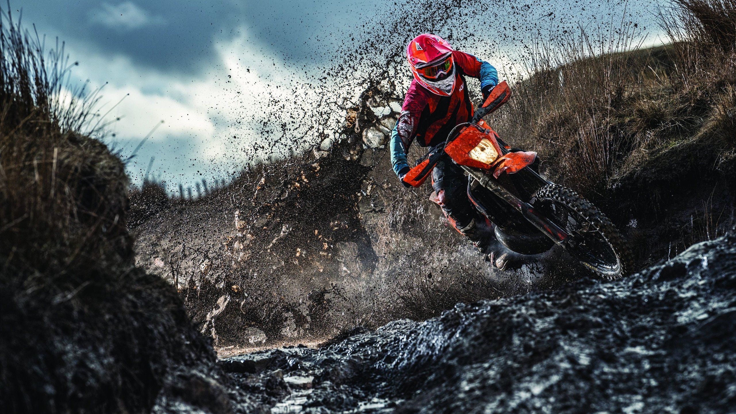 -排球赛场焦点！日本队对阵中国队，体能极限考验，赛场硬仗一触即发