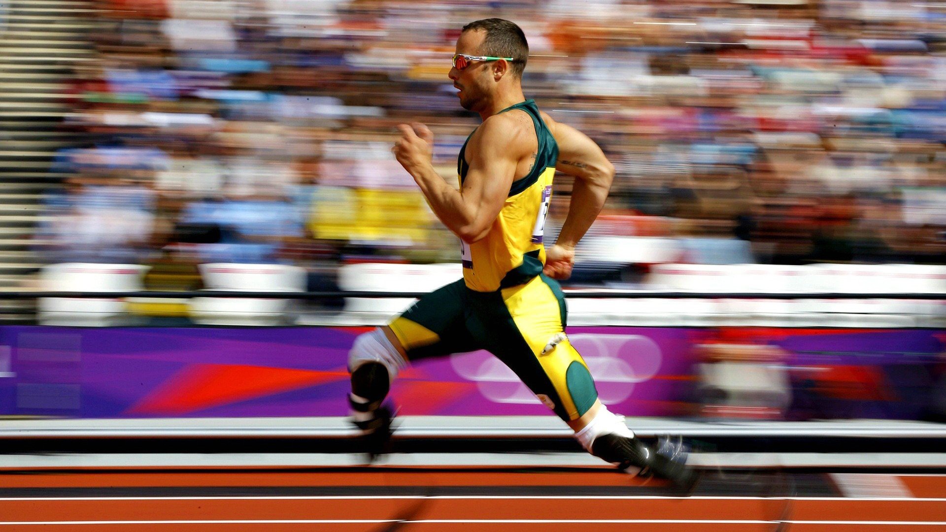 -羽毛球赛场焦点！阿根廷队对阵荷兰队，体能极限考验，赛场硬仗一触即发